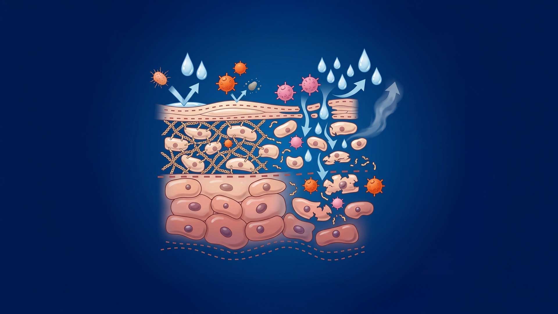 Understanding Filaggrin and Eczema: Causes, Treatments, and Prevention