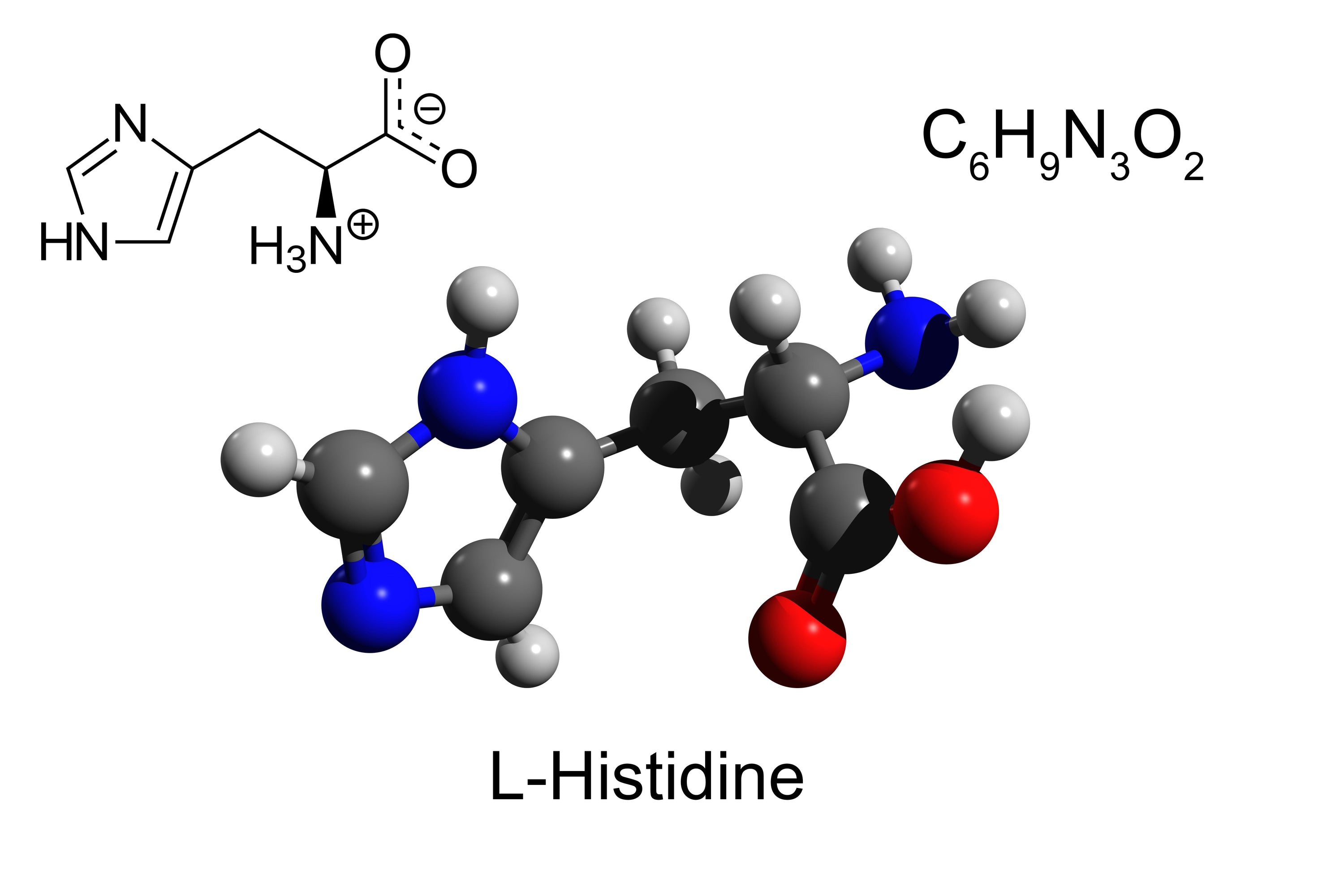 L-Histidine & Antioxidants: New Treatment for Atopic Dermatitis Codex Labs Corp L-Histidine & Antioxidants: New Treatment for Atopic Dermatitis Codex Labs Corp