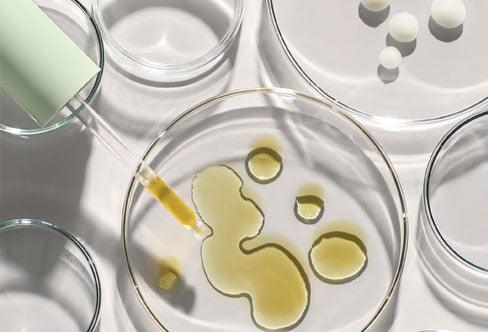 Codex Beauty Labs Bia Facial Oil surrounded by petri dishes filled with oil and facial cream.