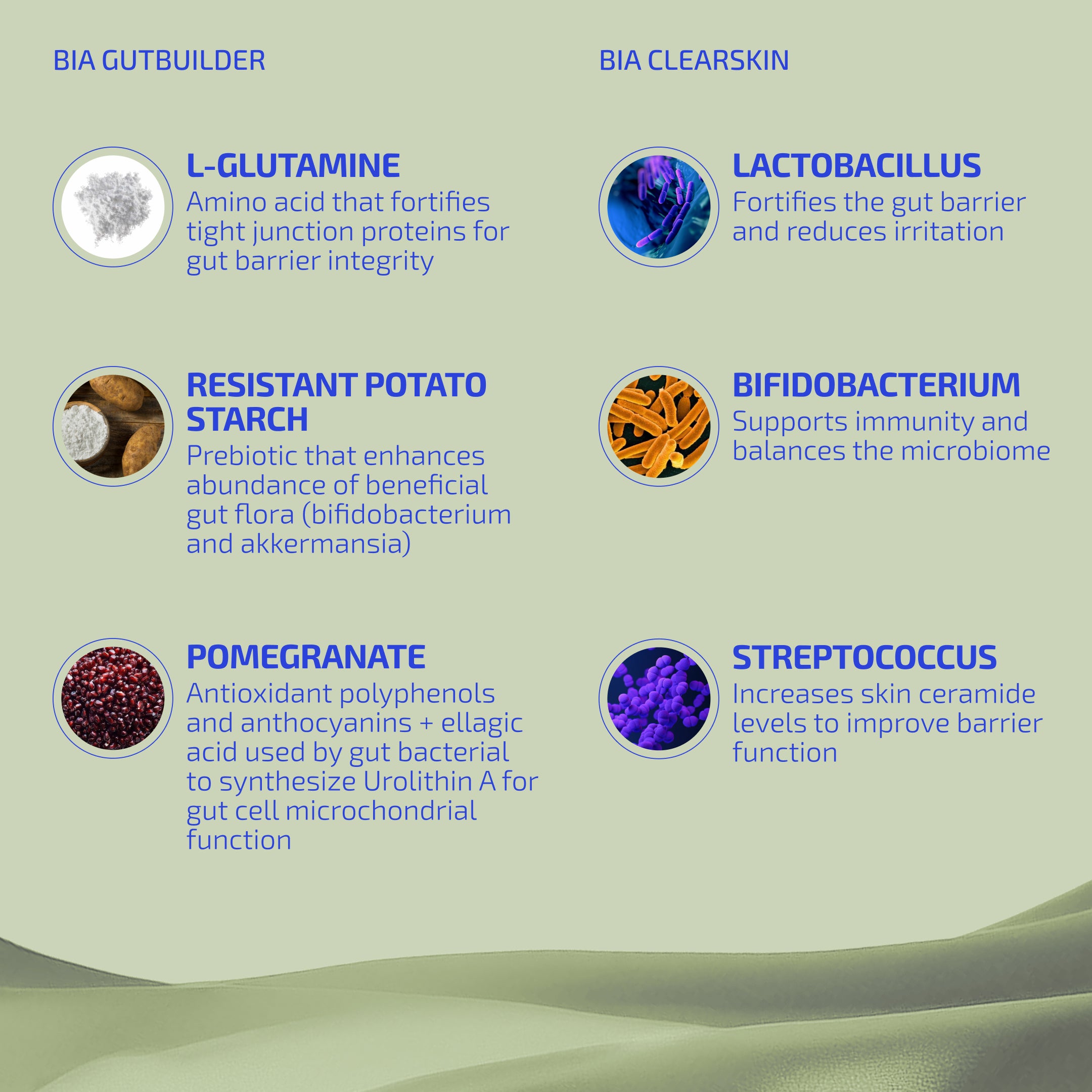 Gut Barrier Eczema Relief System