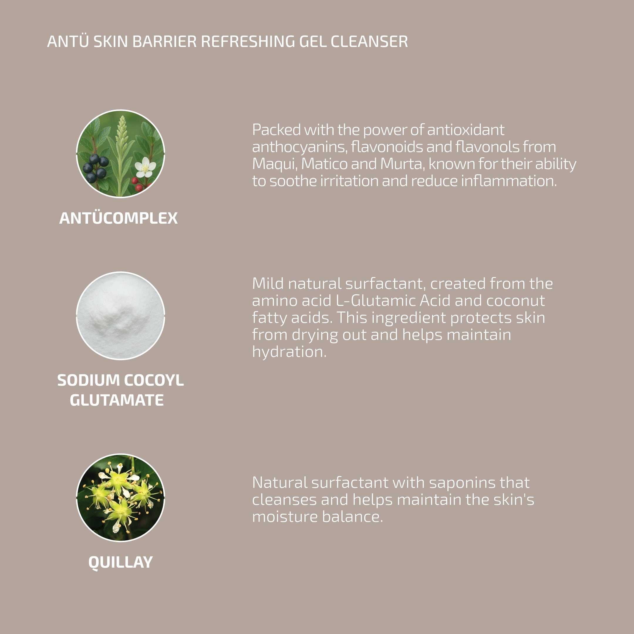 ANTÜ  Refreshing Gel Cleanser