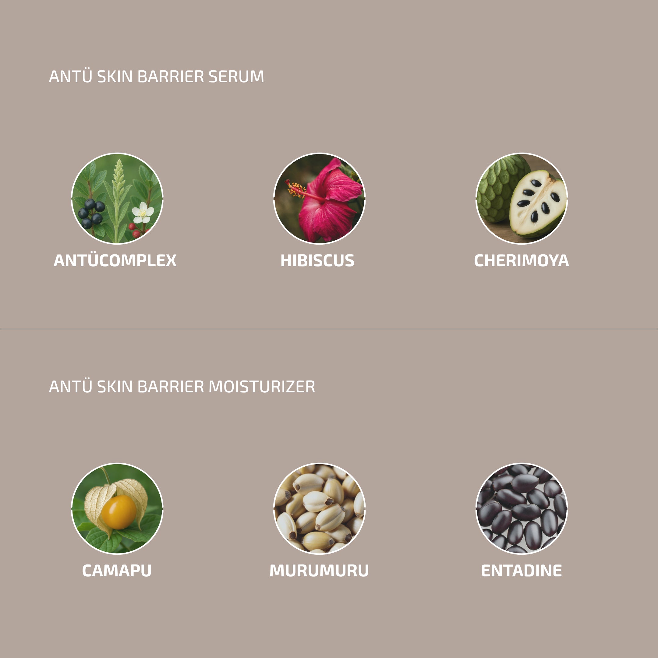 Skin Barrier Renewal Set