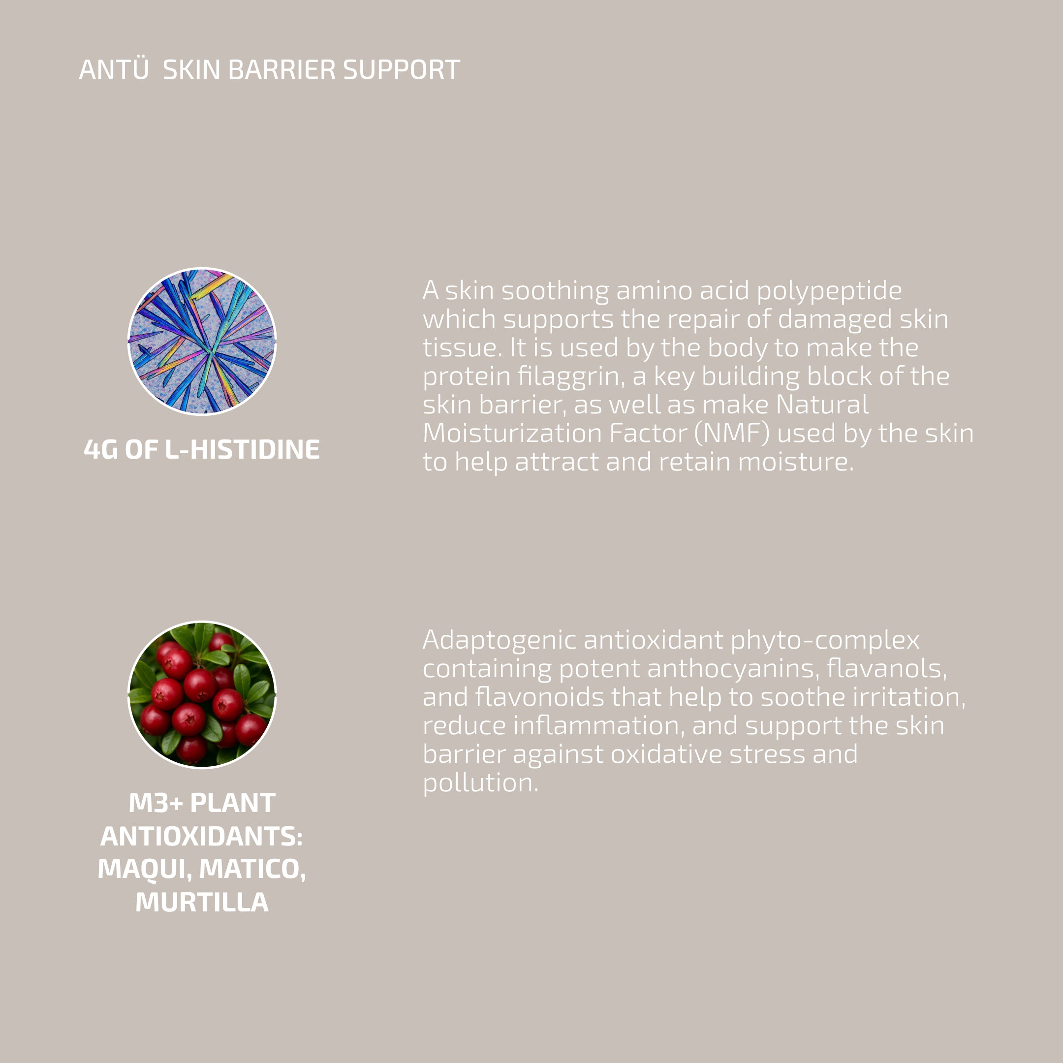 Skin Barrier Repair Set