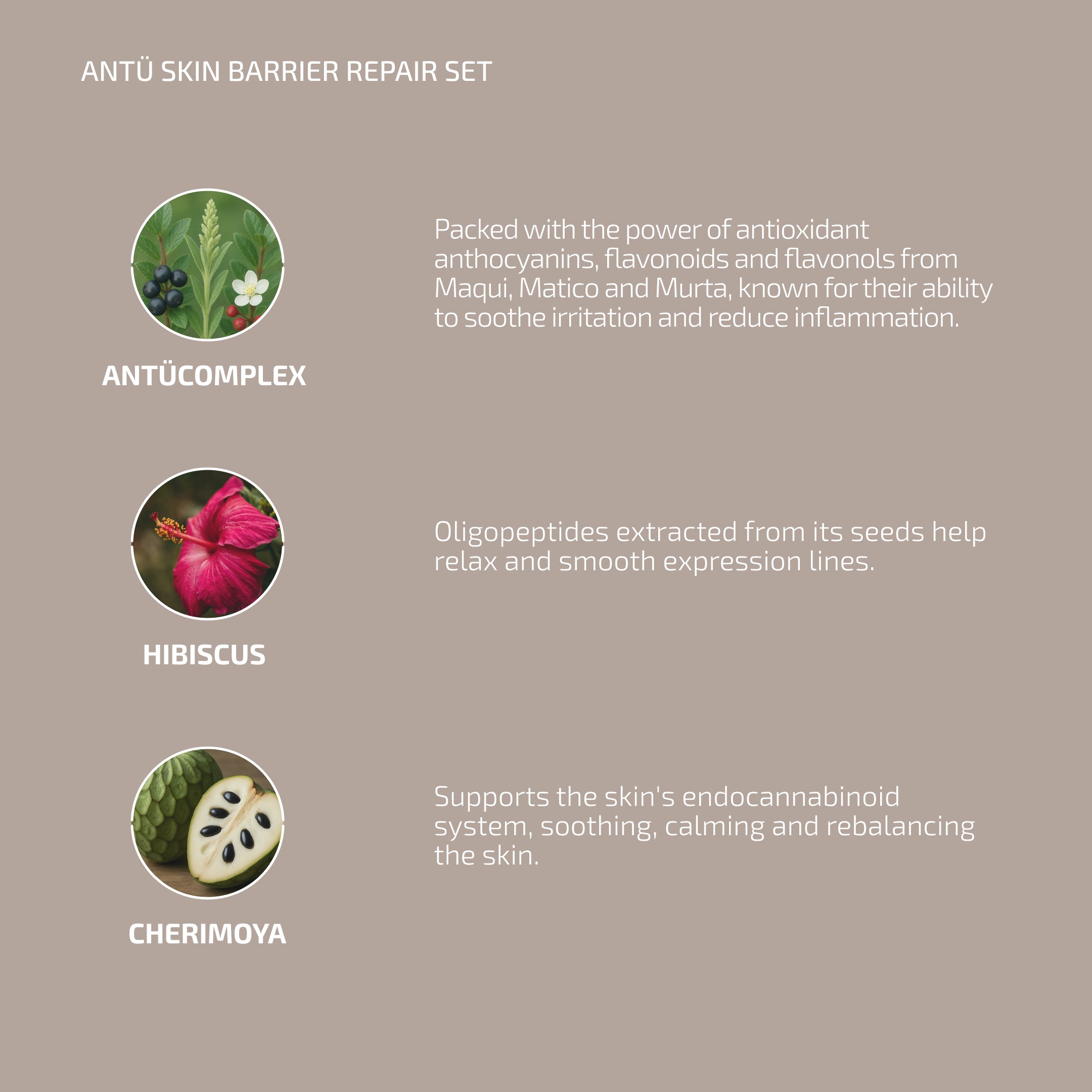 ANTÜ Skin Barrier Serum