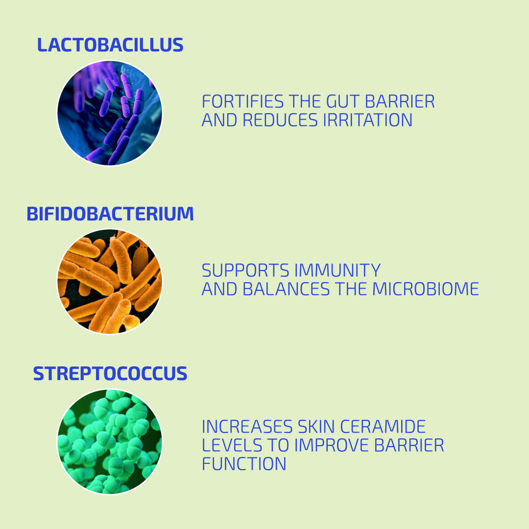BIA ® ClearSkin Synbiotic Dietary Supplement