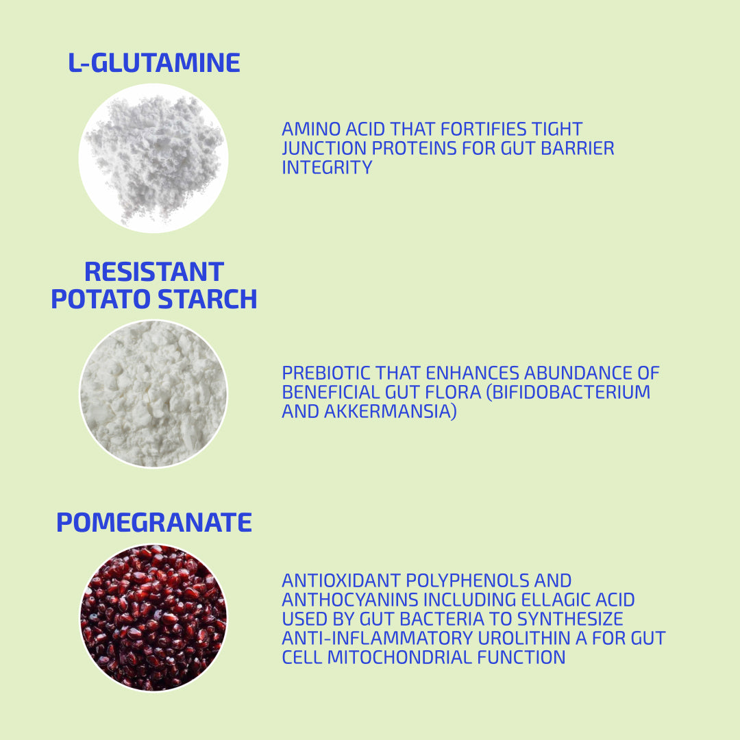BIA ® GutBuilder Prebiotic Supplement