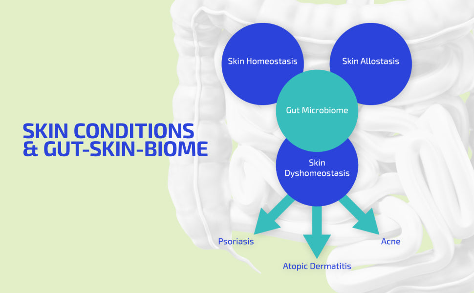 BIA ® GutBuilder Prebiotic Supplement