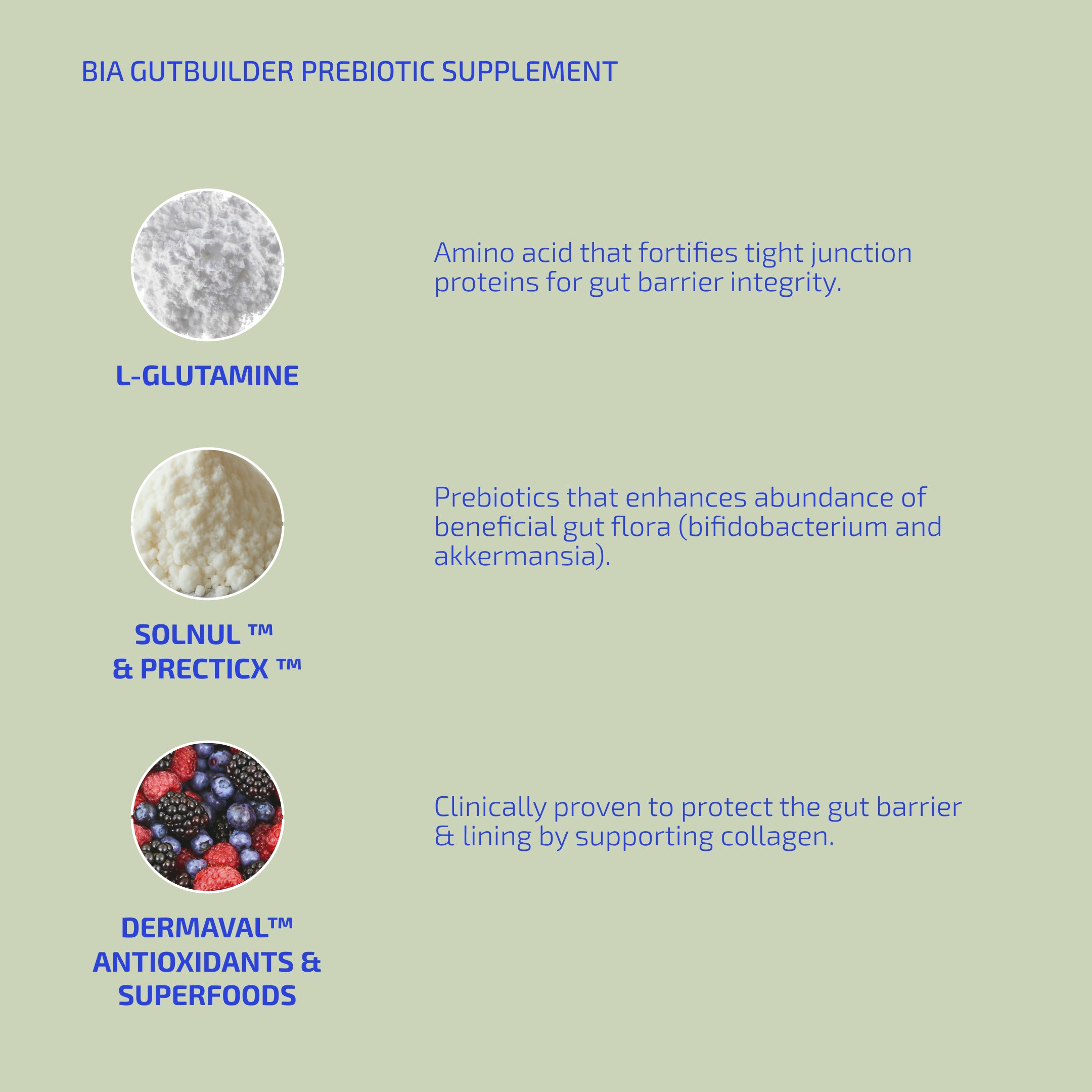 BIA GutBuilder Prebiotic Supplement (Kids + Adults)