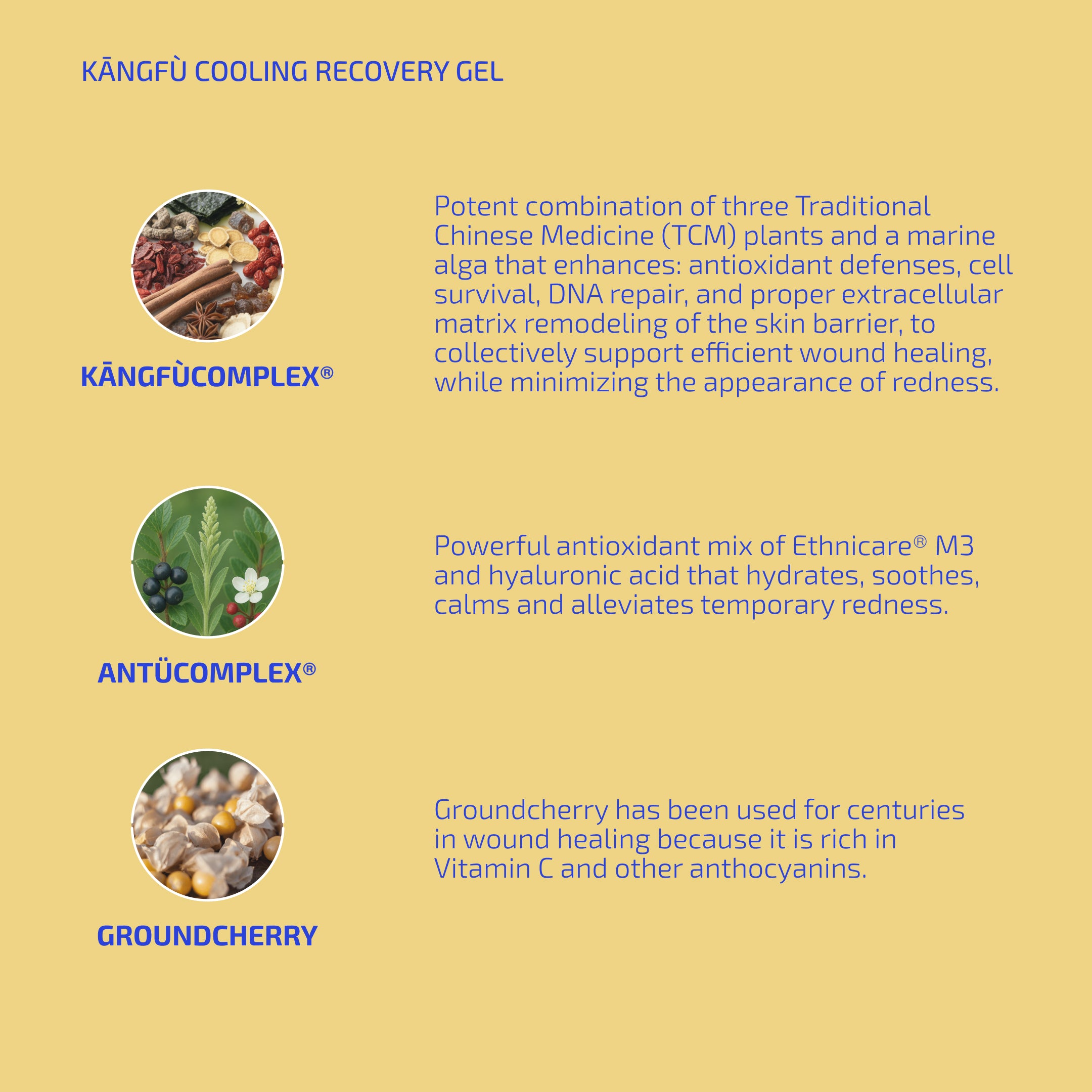Product description card for KöØngfü Cooling Recovery Gel with ingredients and benefits on a yellow background.