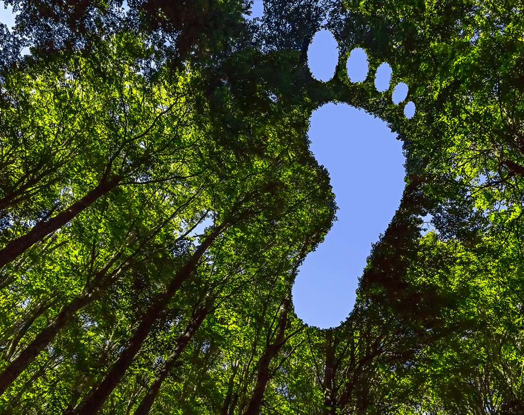 Image of a tree-line in the shape of a foot.