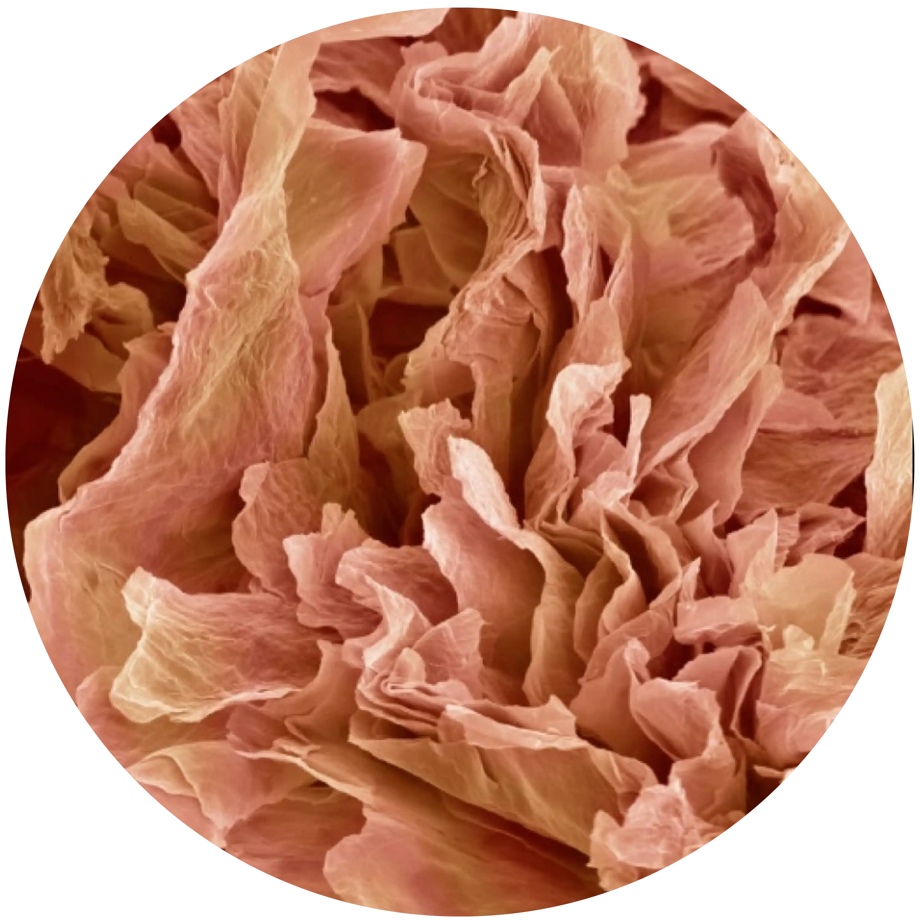 WEAK SKIN  BARRIER