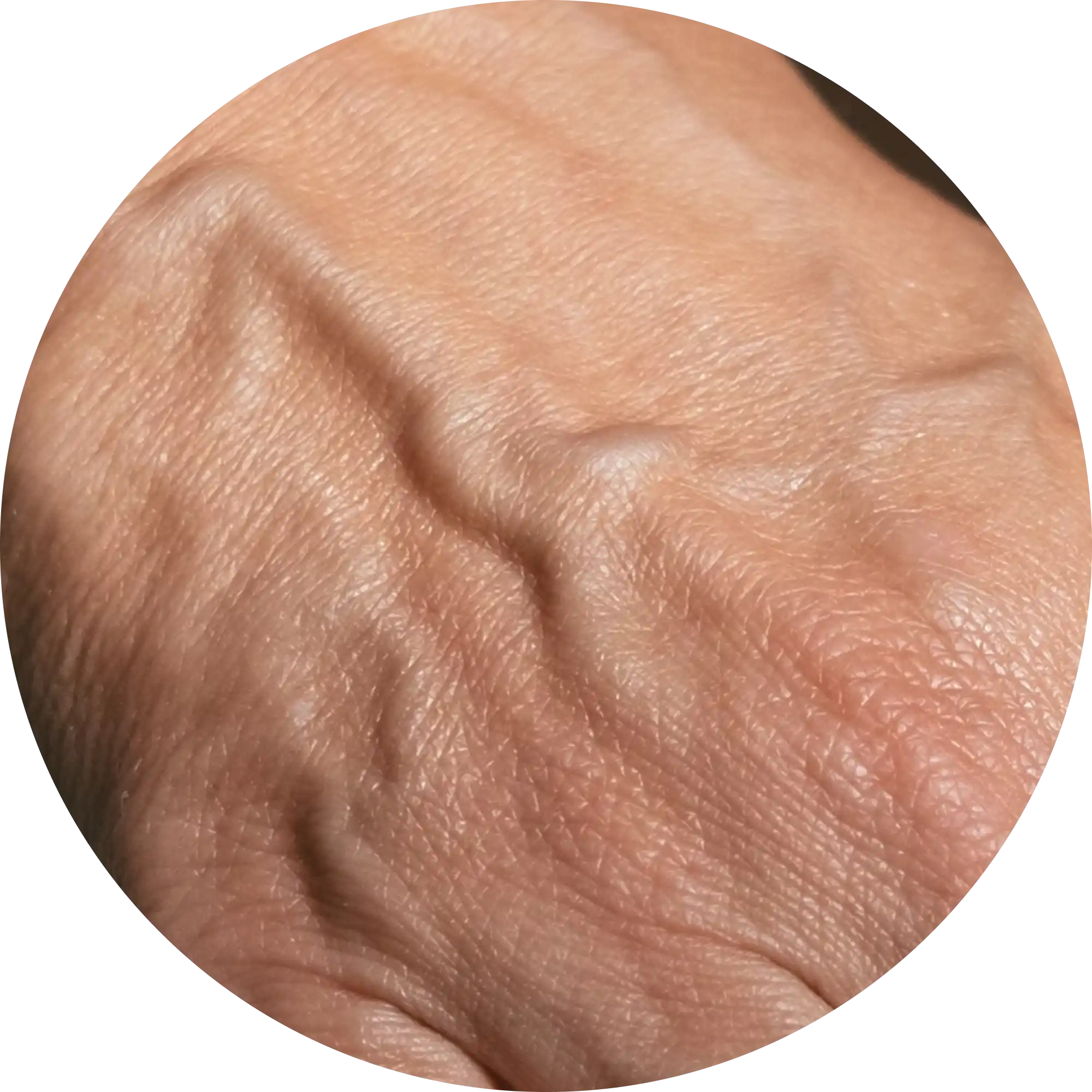 Hormonal Cascade Effects